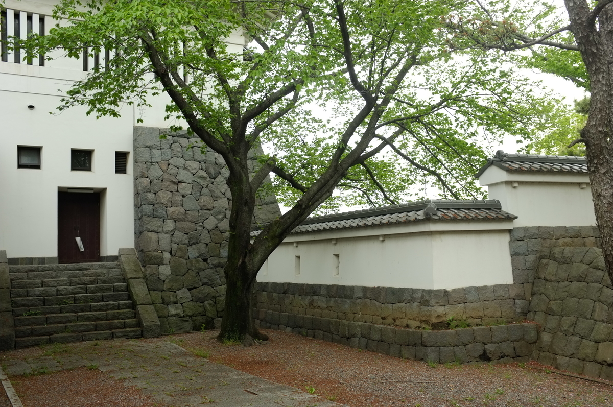 f:id:bon-ku-ra:20190427132307j:plain f:id:bon-ku-ra:20190427132307j:plain