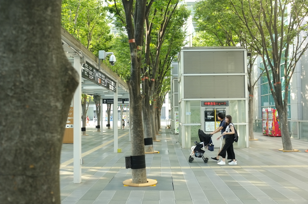 f:id:bon-ku-ra:20190803170713j:plain f:id:bon-ku-ra:20190803170713j:plain