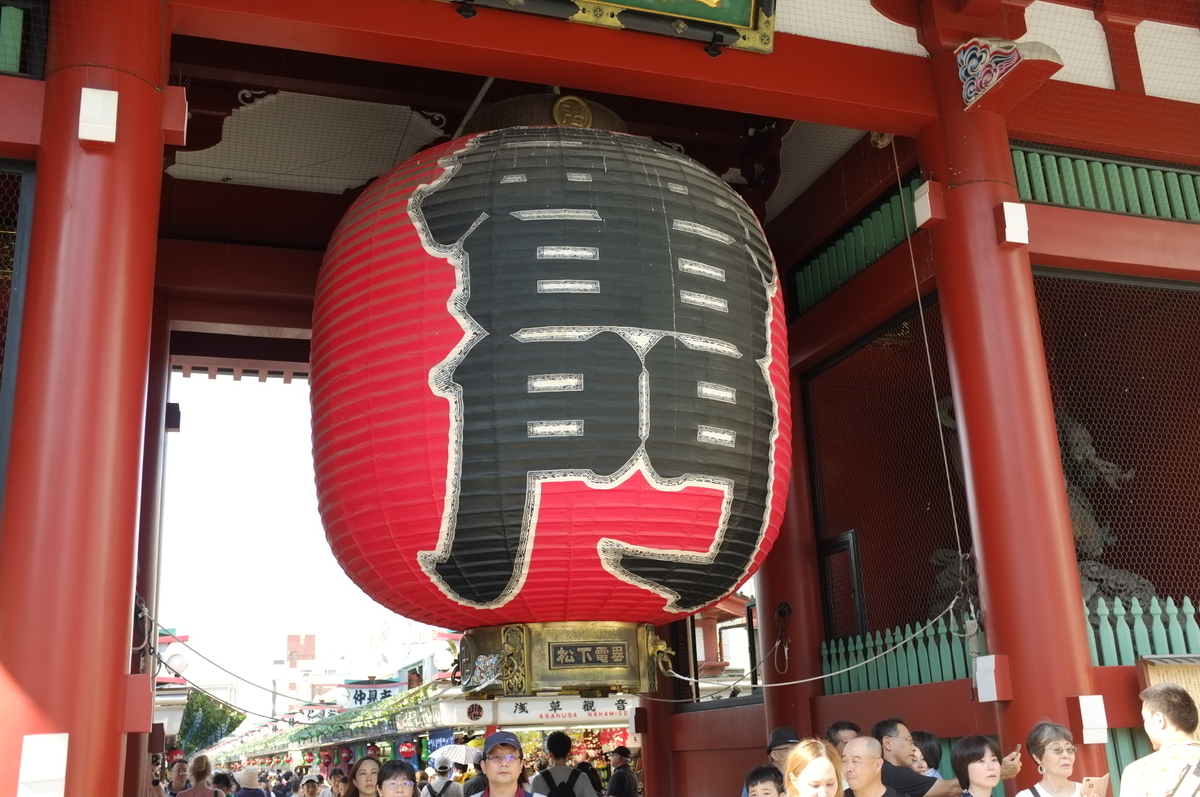 f:id:bon-ku-ra:20190810155332j:plain f:id:bon-ku-ra:20190810155332j:plain