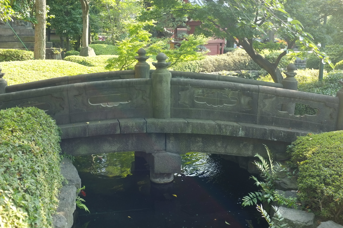 f:id:bon-ku-ra:20190810161559j:plain f:id:bon-ku-ra:20190810161559j:plain