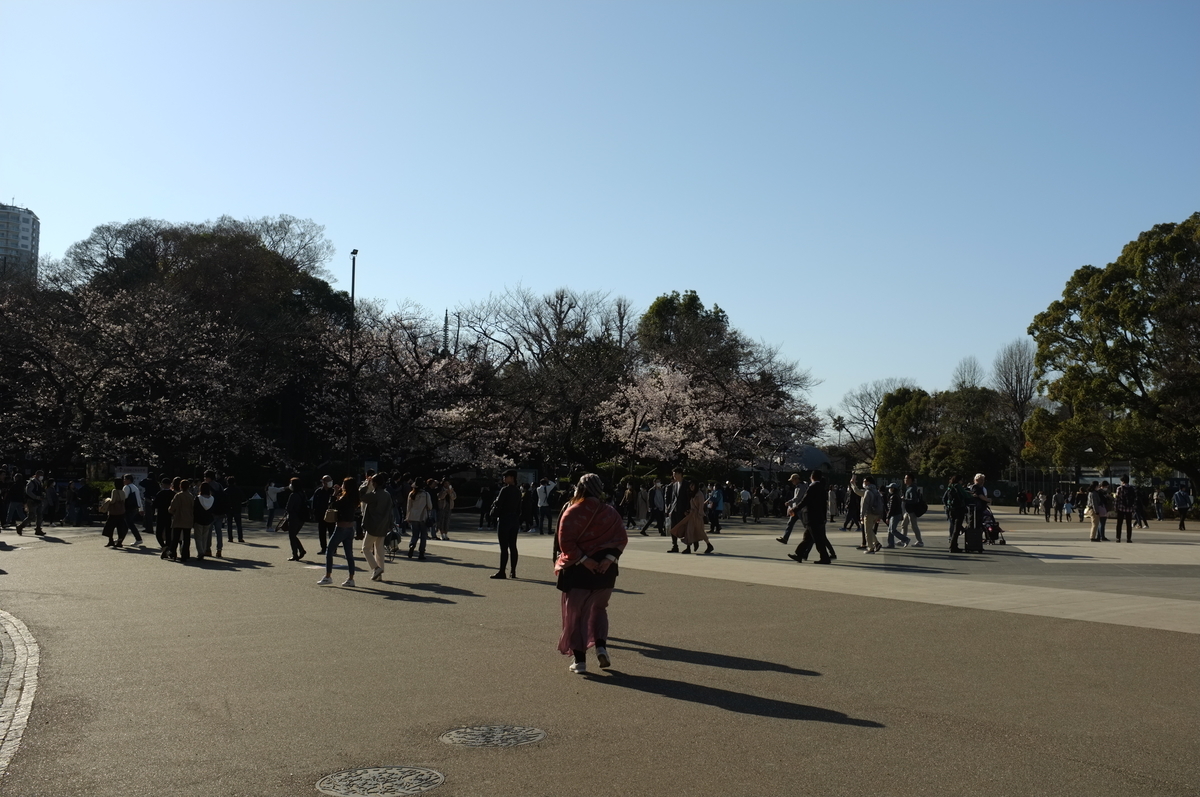 f:id:bon-ku-ra:20200320161520j:plain f:id:bon-ku-ra:20200320161520j:plain