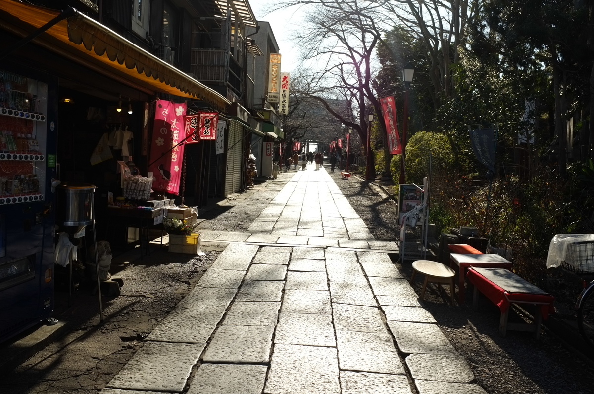 f:id:bon-ku-ra:20210130153809j:plain