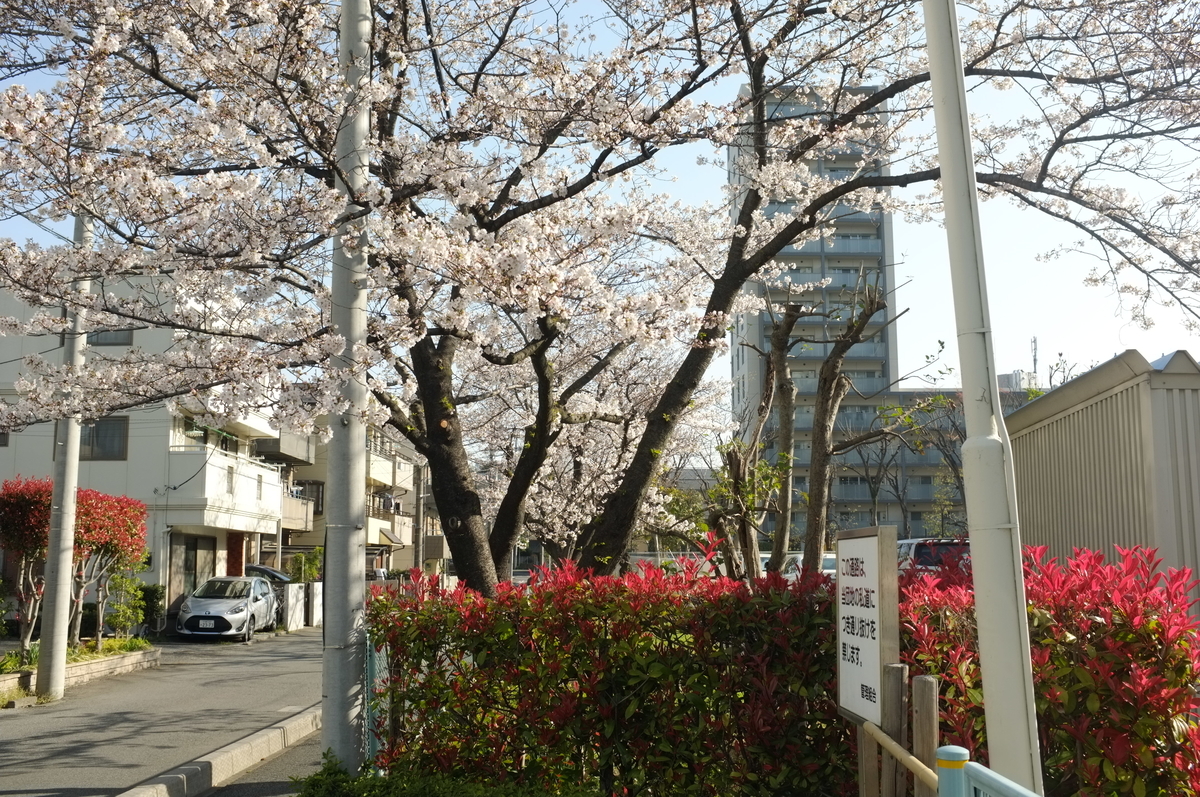 f:id:bon-ku-ra:20210324090234j:plain
