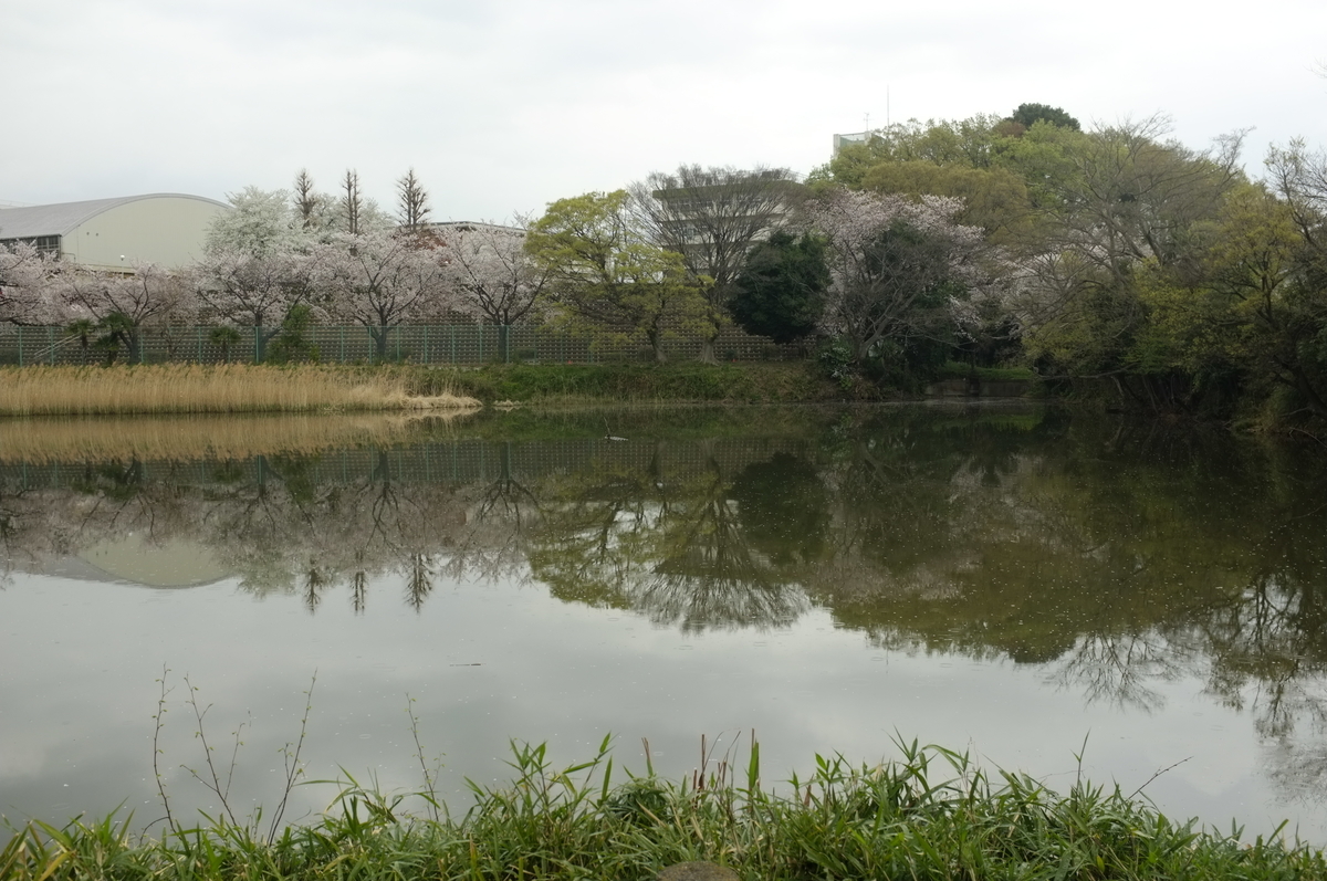 f:id:bon-ku-ra:20210328092645j:plain