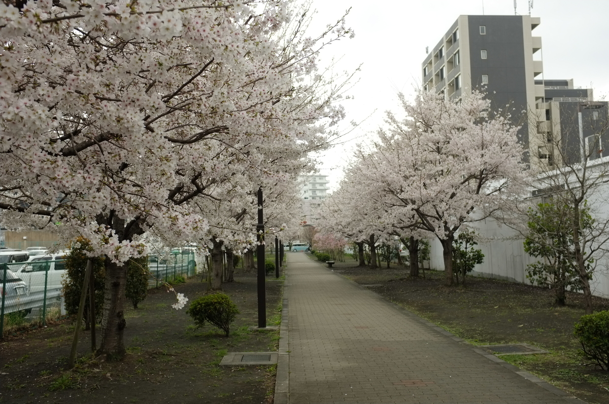f:id:bon-ku-ra:20210328094314j:plain