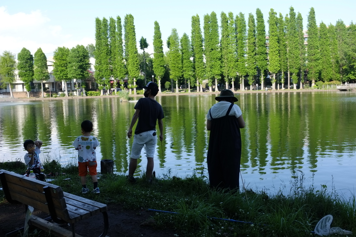 f:id:bon-ku-ra:20210523170557j:plain
