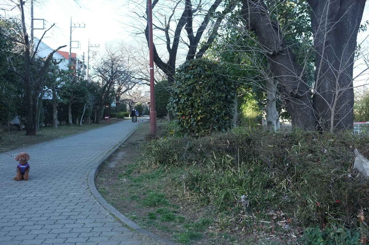 f:id:bon-ku-ra:20220306172032j:plain