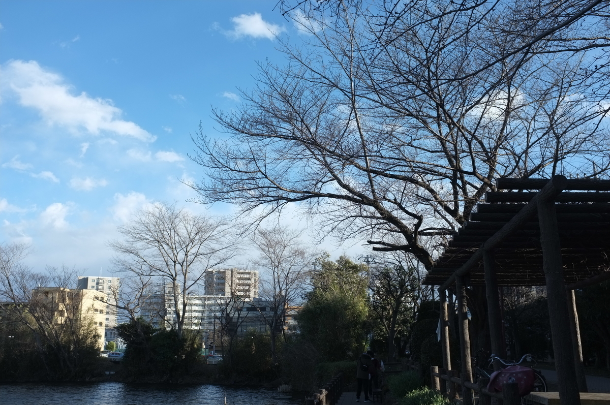 f:id:bon-ku-ra:20220306172334j:plain