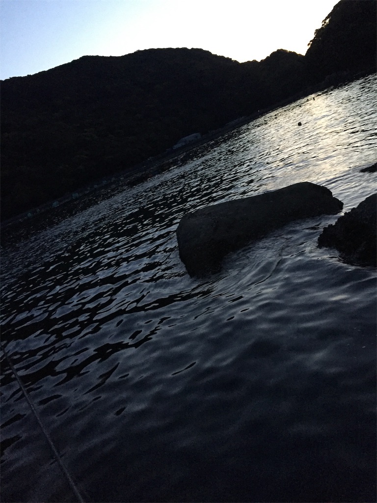 f:id:bona6063593:20190112043825j:image f:id:bona6063593:20190112043825j:image