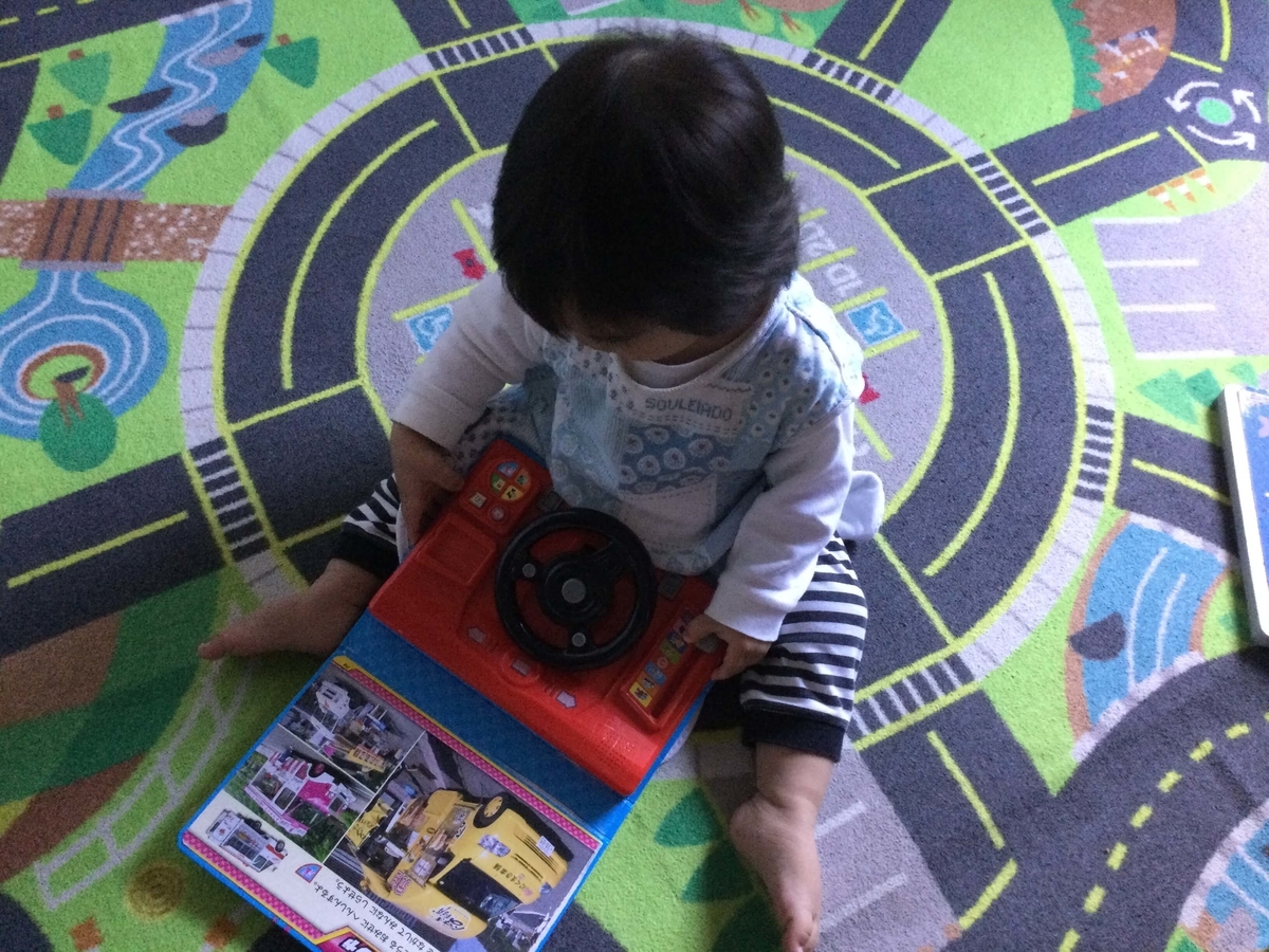 f:id:bonara:20210108164833j:plain