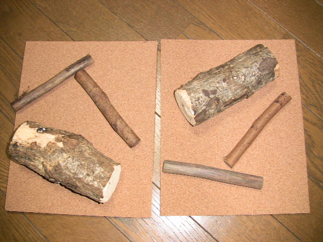 f:id:bonbitencho:20210314003930j:plain