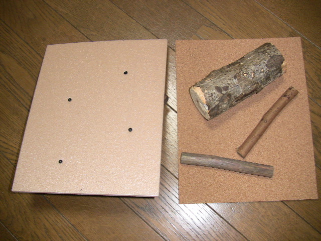 f:id:bonbitencho:20210314003948j:plain