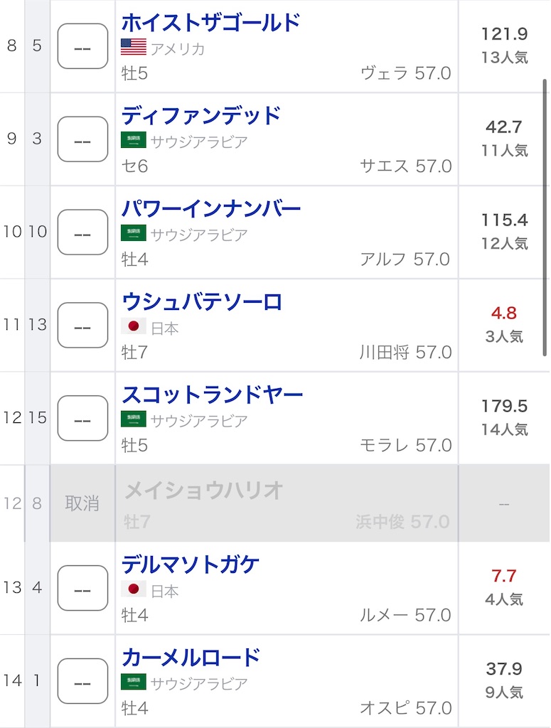 f:id:bonbonjin71:20240224214805j:image