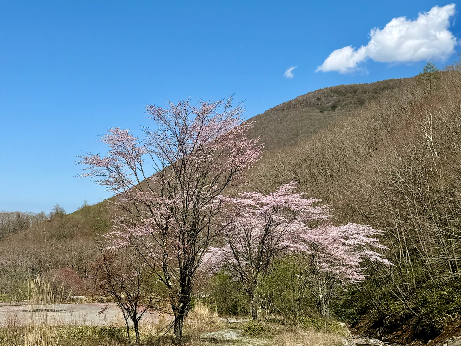 たまだれの滝訪問とアクシデント - 空と旅と温泉と雑想と