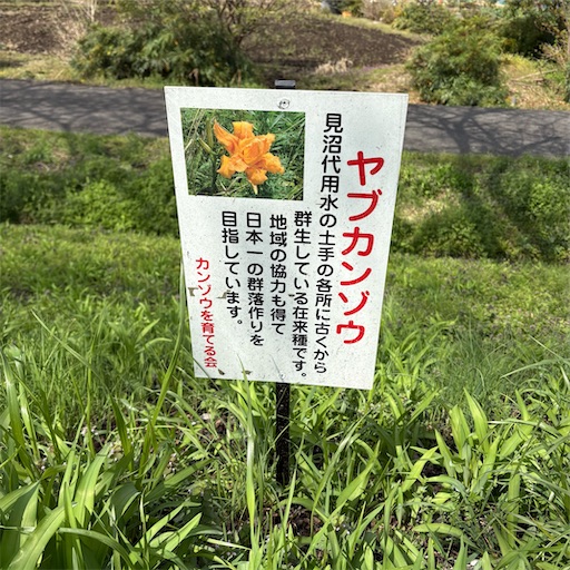 f:id:bondanavera:20250601084351j:image