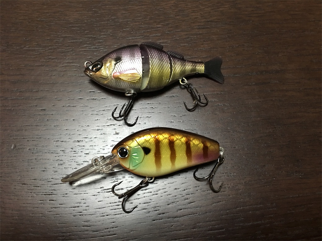 釣具屋の魔力とyabaiルアー Bassbond 淀川 琵琶湖 釣具屋の魔力とyabaiルアー Bassbond 淀川 琵琶湖