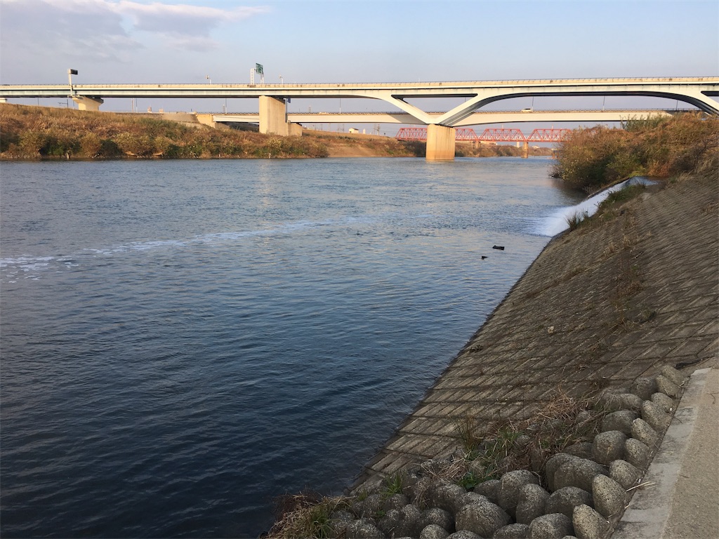 初釣りは宇治川から Bassbond 淀川 琵琶湖