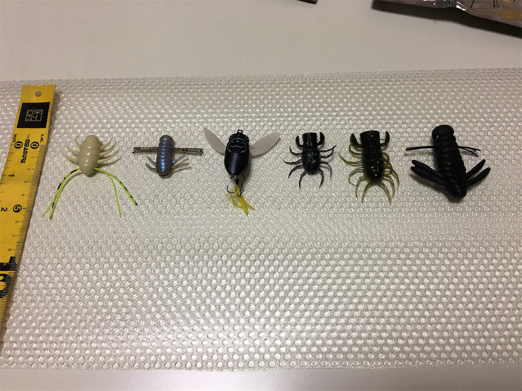 欲しかった虫ルアーが手に入ったぞ Bassbond 淀川 琵琶湖
