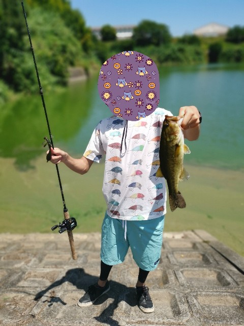 f:id:bondon:20190813073758j:image