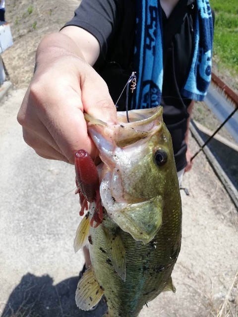 f:id:bondon:20190813073913j:image