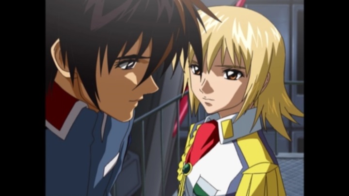 機動戦士ガンダムSEED』ちょっとした感想 SEED-13（第37～39話