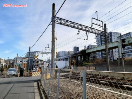 f:id:bongore_asterisk:20250123193156j:image f:id:bongore_asterisk:20250123193156j:image