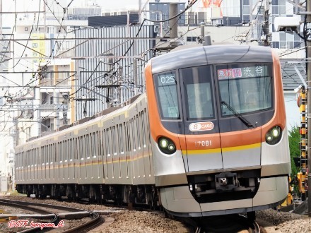 GW（黄金週間）なので銀の東急電鉄を撮りに行く Part.1（東横線編