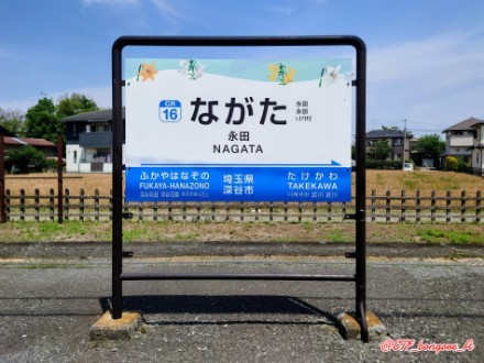 f:id:bongore_asterisk:20250611133910j:image f:id:bongore_asterisk:20250611133910j:image