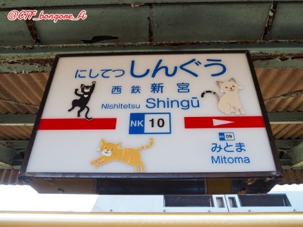 f:id:bongore_asterisk:20260613224421j:image