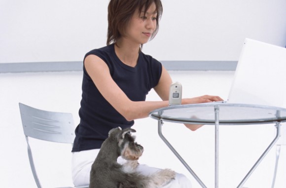 f:id:bonhakuryo:20180325102000j:plain:w250 f:id:bonhakuryo:20180325102000j:plain:w250