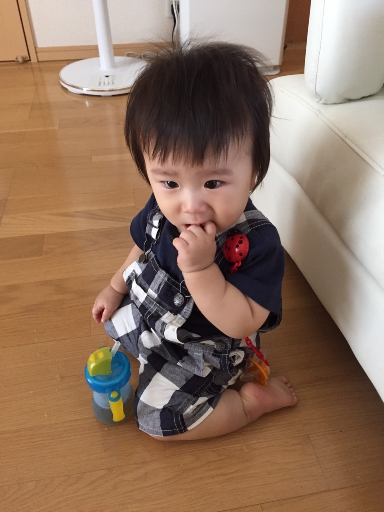 f:id:bonhakuryo:20180428100759j:plain:w300 f:id:bonhakuryo:20180428100759j:plain:w300