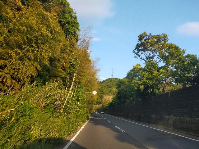 f:id:bonho:20230506174150j:image