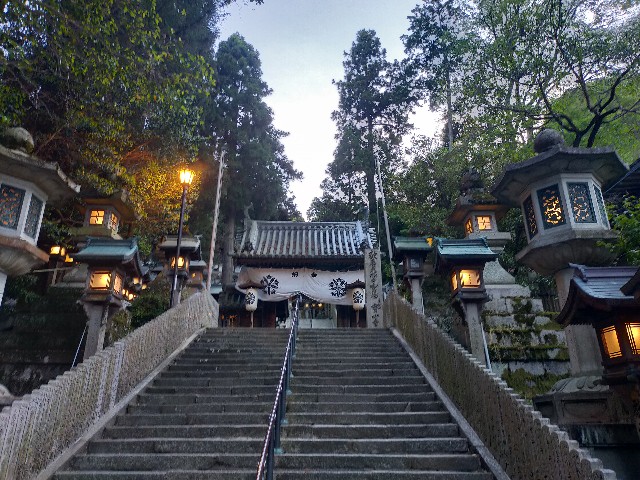 f:id:bonho:20230506174528j:image