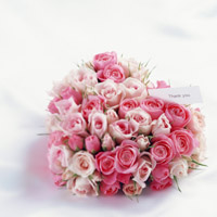 f:id:bonicfan:20161127091428j:plain f:id:bonicfan:20161127091428j:plain