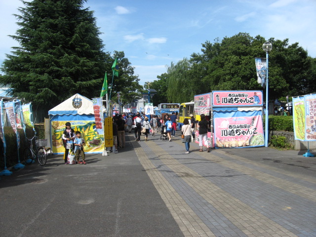 f:id:bonita-sc:20130706151918j:image:w360