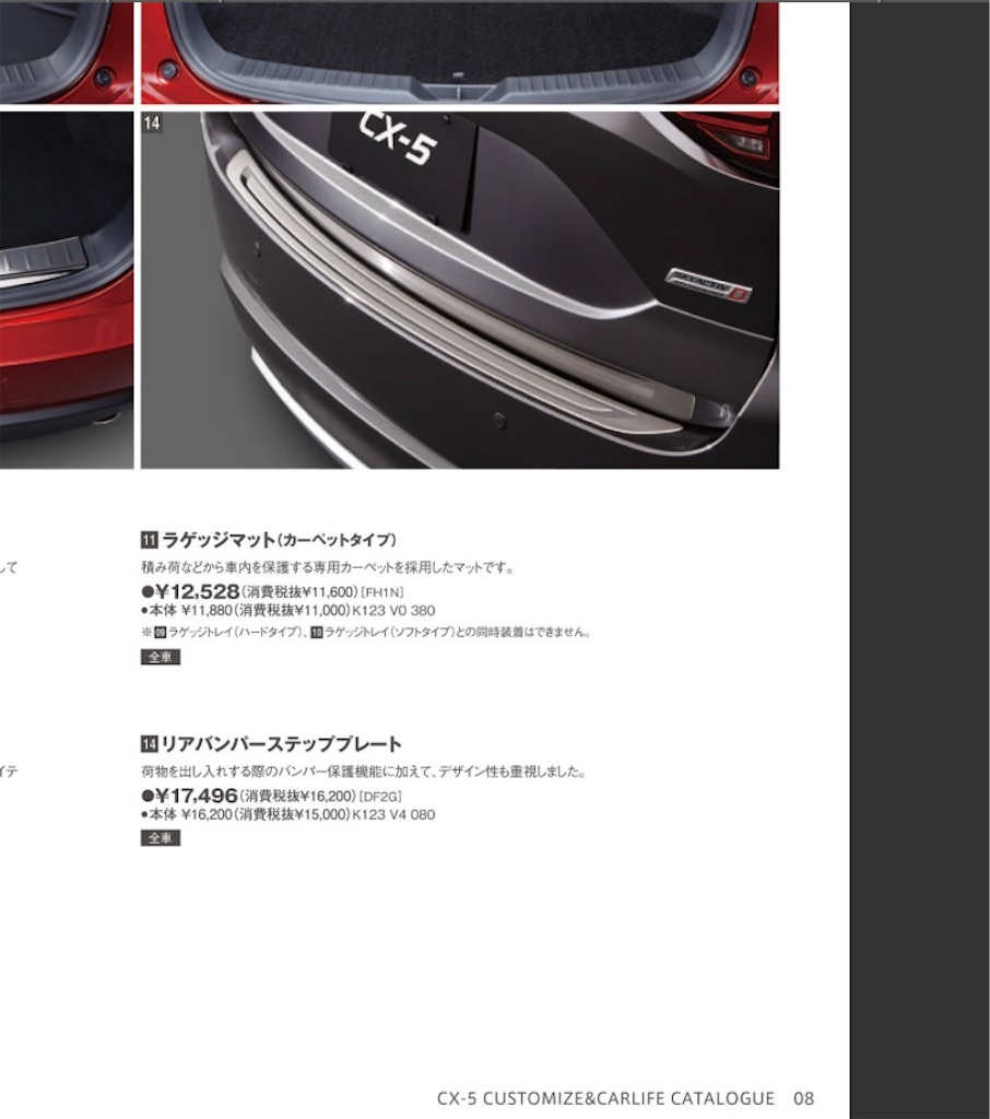 外したオプションその5 リアバンパーステッププレート - 凡人