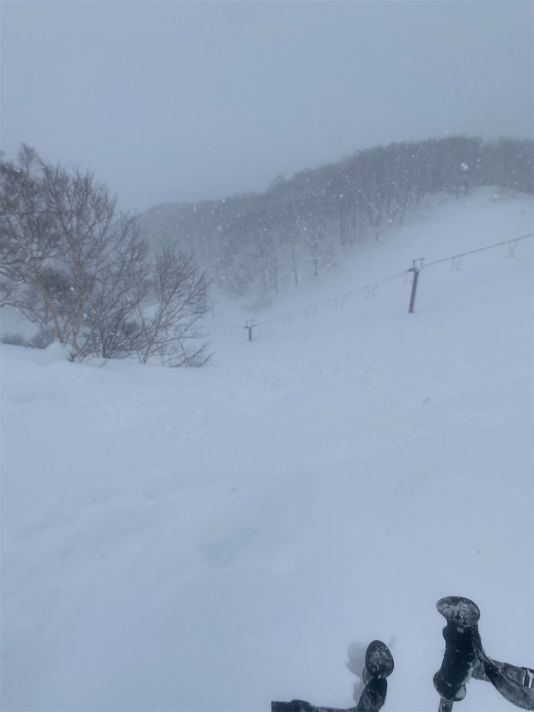 f:id:bonjonskier:20220119070852j:image
