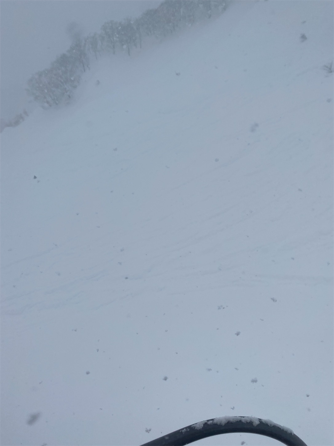 f:id:bonjonskier:20220119070859j:image