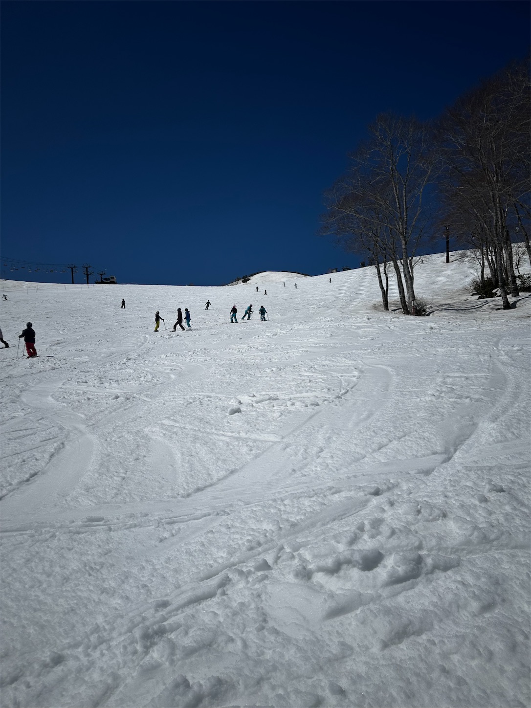 f:id:bonjonskier:20260406221324j:image
