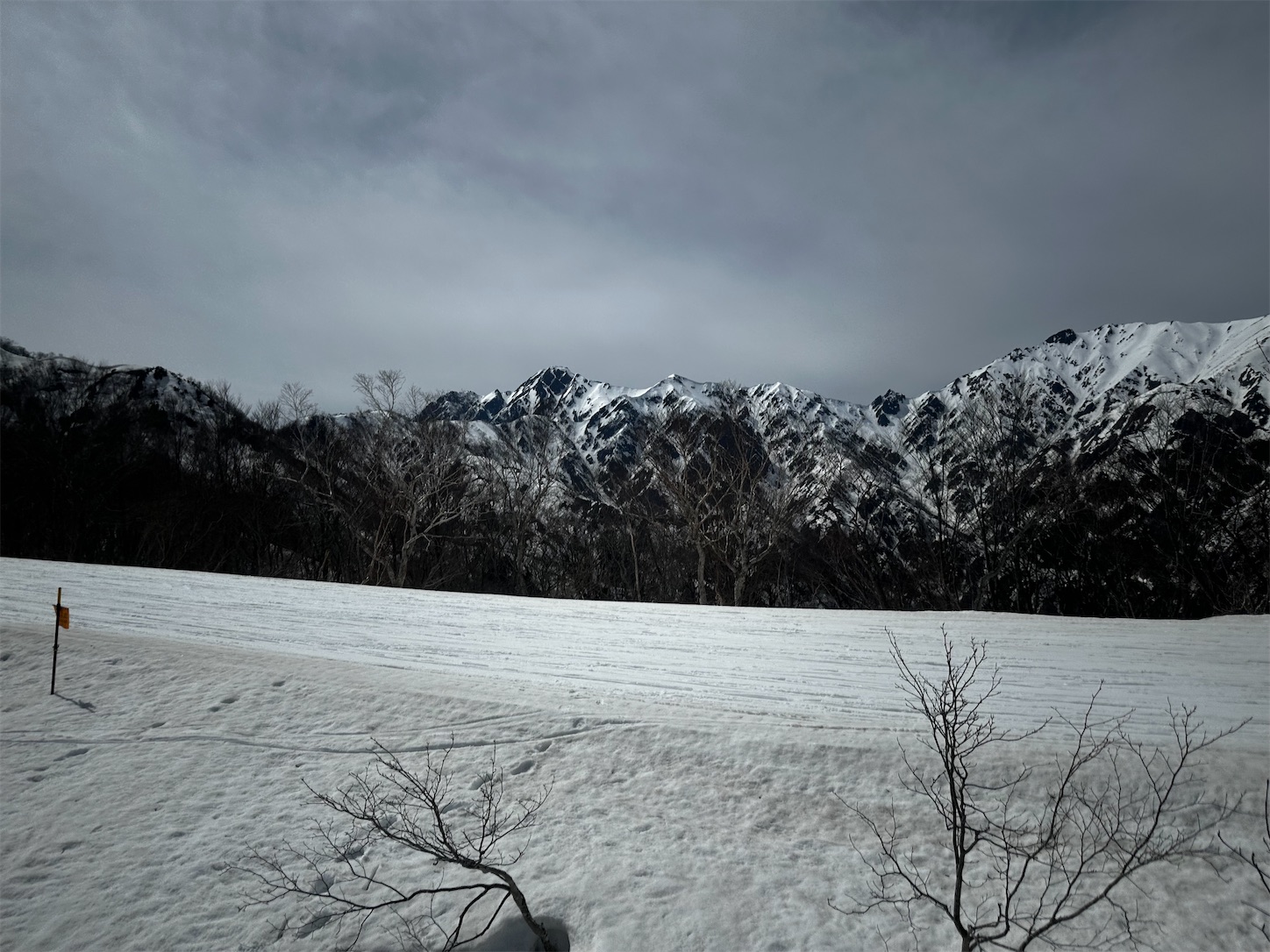 f:id:bonjonskier:20260406221354j:image