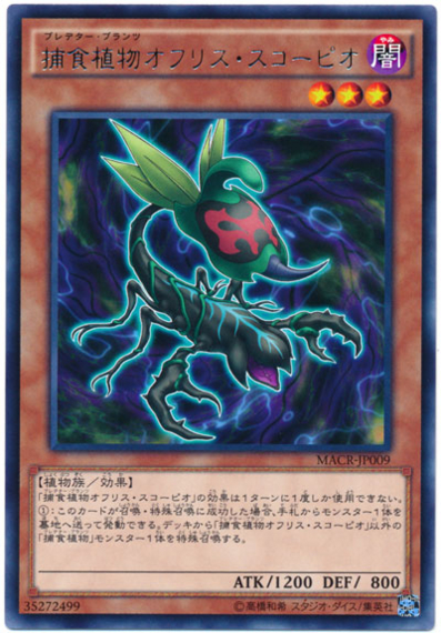 大会で結果を残した【十二獣捕食真竜】デッキ考察
