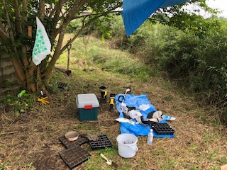 農作業小屋の製作 その１ 50代 ゼロからの農業
