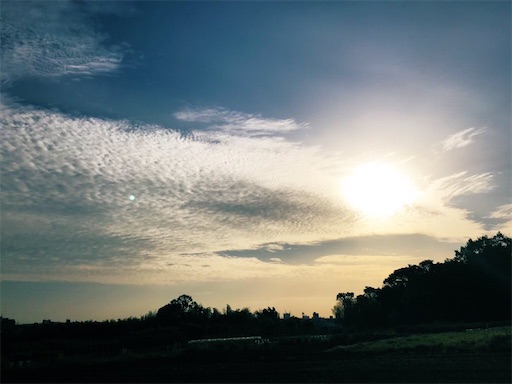 f:id:bonobono5012:20200529231128j:image