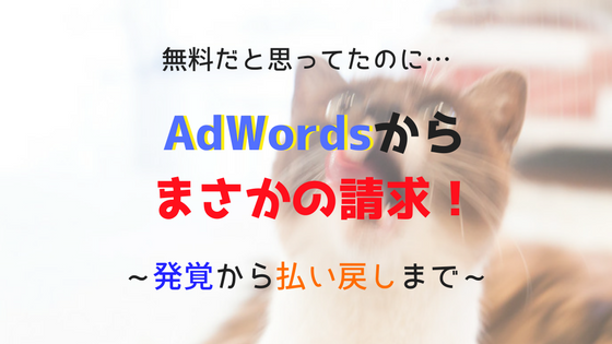 Google Adwordsから身に覚えのない請求 発覚から払い戻しまで ぼのぼのえの報告