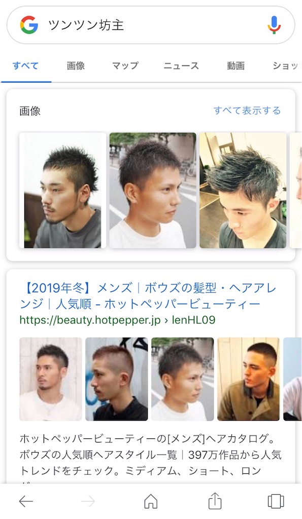 f:id:bonpyaku:20181206123216j:image