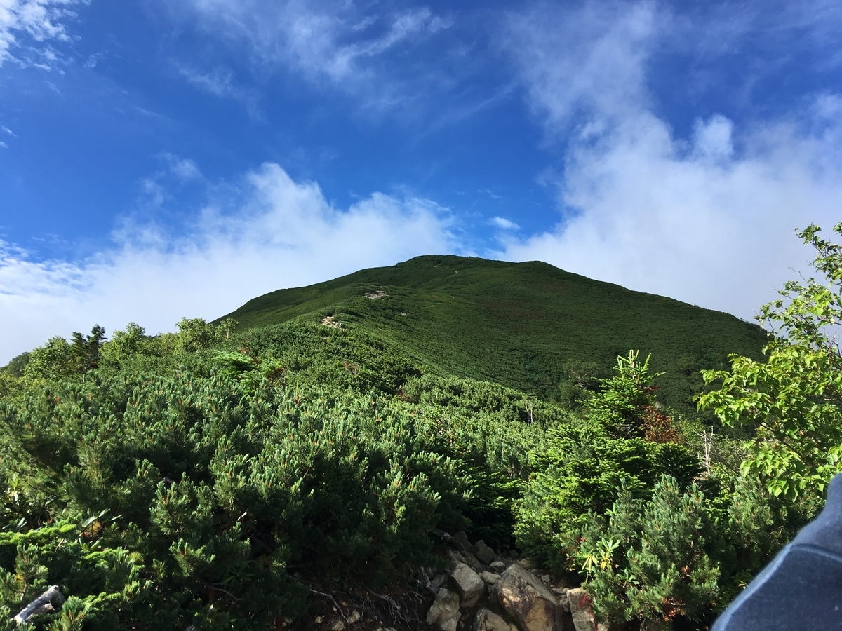 f:id:bonsaibums:20191017160031j:plain