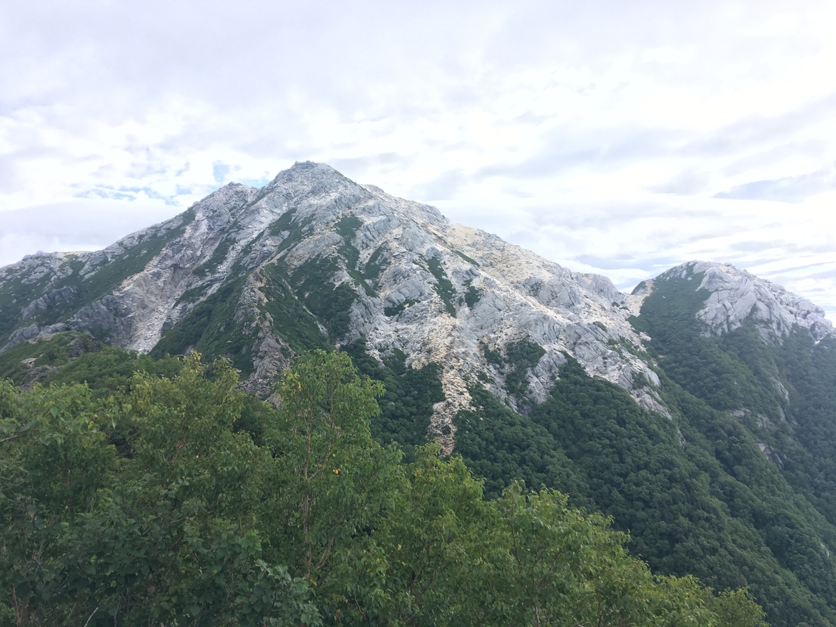 f:id:bonsaibums:20191017162604j:plain