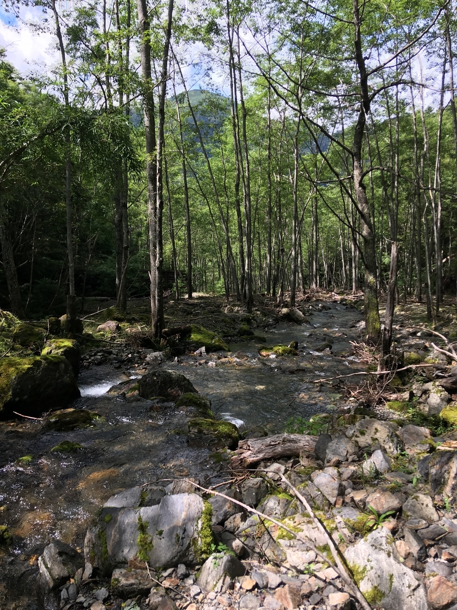 f:id:bonsaibums:20191017164211j:plain