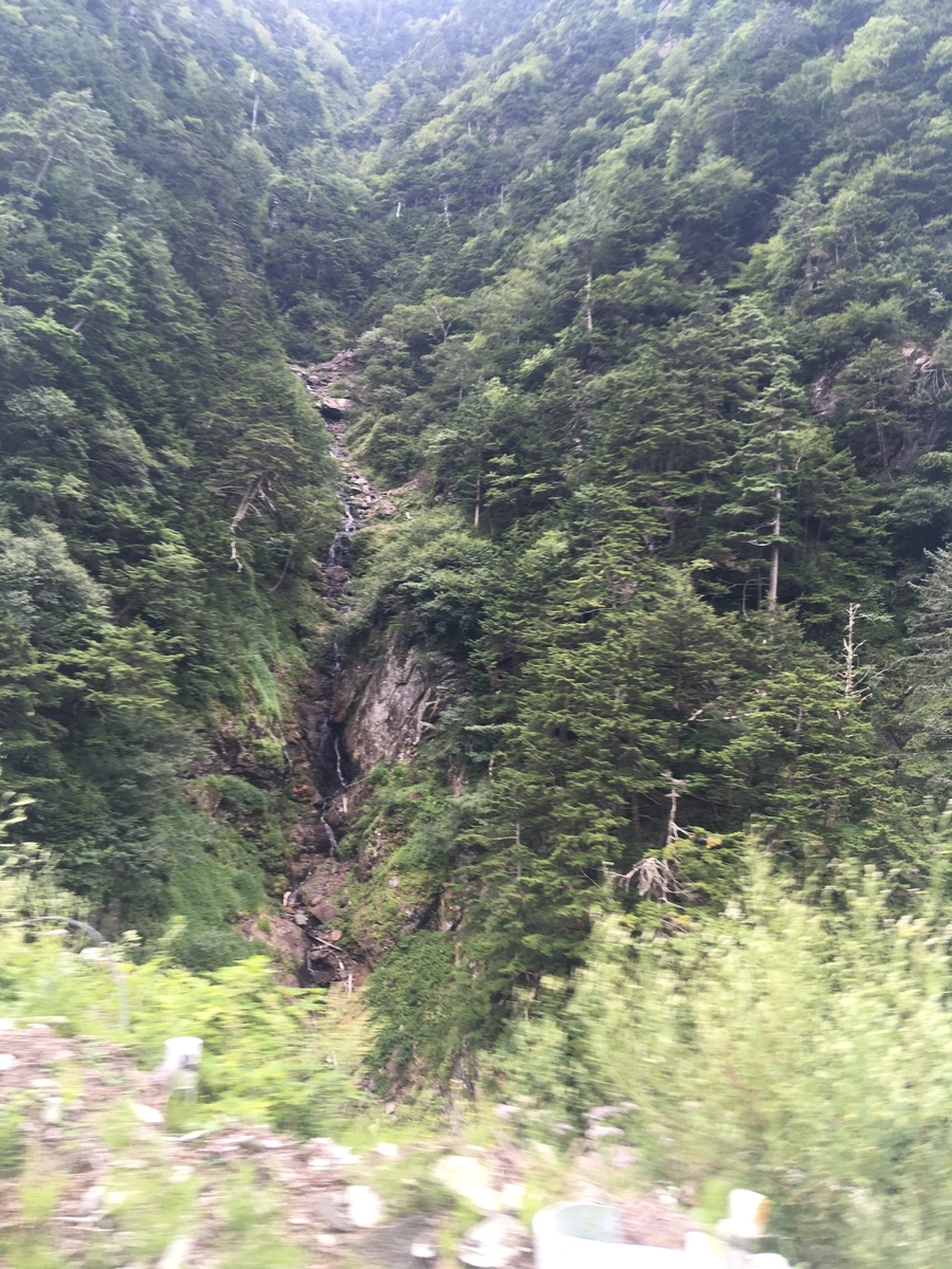 f:id:bonsaibums:20191017164432j:plain