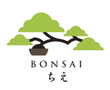 f:id:bonsaichie:20170530102552p:plain f:id:bonsaichie:20170530102552p:plain